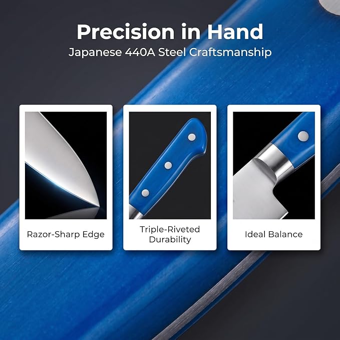 Japanese Chef Knife 10.6 inches, Professional Japanese Knife with Blue Ergonomic Handle for Household or Work