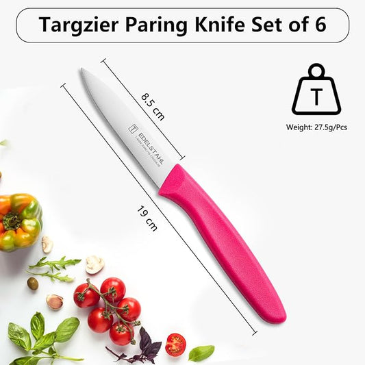 Paring Knife Fruit Knife Set,6 Pieces Stainless Steel Paring Knives Set,Sharp Knife,Straight Edge Small Knife Set for Cutting Fruits and Vegetable,Ergonomic Handle,Colorful
