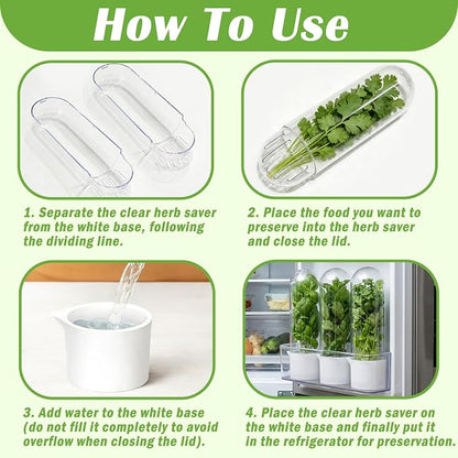Herb Saver for Refrigerator, 3Pack Herb Keeper & Cilantro Container for Fridge, Fresh Herbs Lettuce Keeper Preservation Storage Container for Cilantro, Parsley, Asparagus, Extends 2-3 Weeks