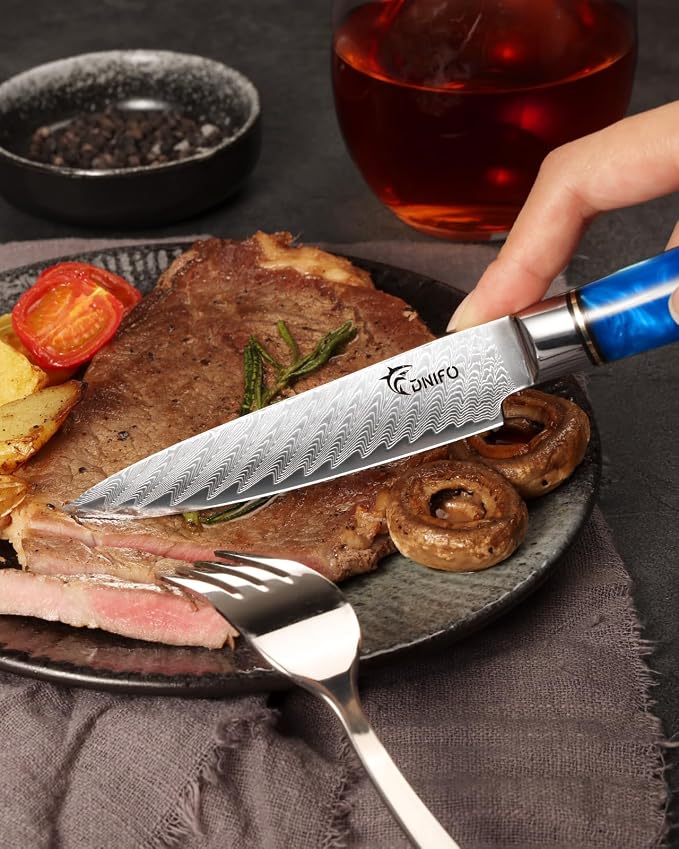 Kitchen Utility Knife 5 Inch, Japanese VG10 Steel Damascus Paring knife, Small Kitchen Chef Knife with Gift Box and Resin Wood Handle, Ideal Gift for Your Beloved Men or Women