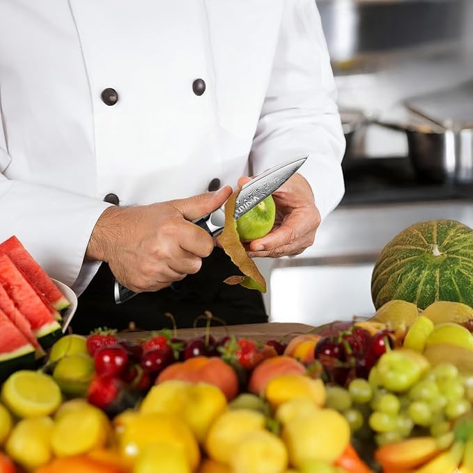 MOSFiATA Damascus Fruit Knife 4", Ultra Sharp Paring Knife, 67 Layers Damascus Steel VG10 Core Multipurpose Small Kitchen Knife Professional Peeling Knives, G10 Handle with Rivet Chef Gift