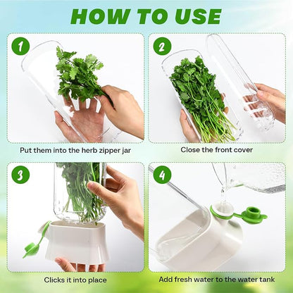 Baderke 2 Pieces Herb Saver for Refrigerator Fresh Herb Keeper Cilantro Container for Fridge Saver Pod for Cilantro, Parsley, Asparagus, Keeps Vegetables for 2-3 Weeks(White)