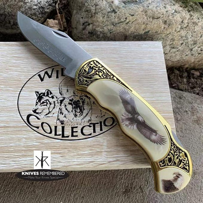 Monogram Knife, Custom Knives, Collector Knife, Personalized Knife, Engraved Knives, Wild Life Collection Knife w/Wooden Collection Box (Eagle)