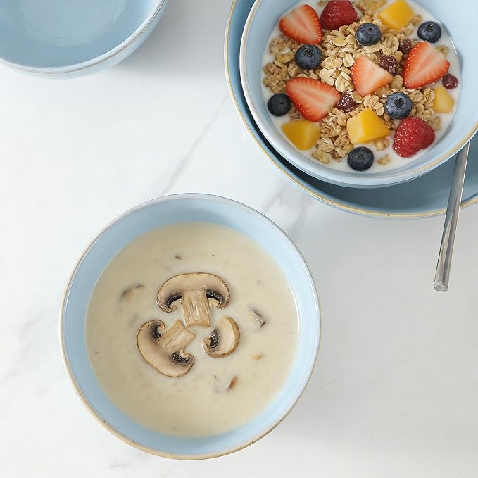 Cereal Bowls, 24 oz Ceramic Bowls Set of 4, Stoneware Bowl Set for Salad, Kitchen, Soup, Dessert, Ramen, Dishwasher and Microwave Safe, Skyblue