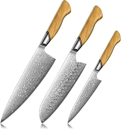 TIVOLI Damascus Kitchen Knife Set,3 PCS Japanese Chef Knife Set,VG-10 Damascus Santoku Paring Knife with Olive Wood Handle,Ideal Gift