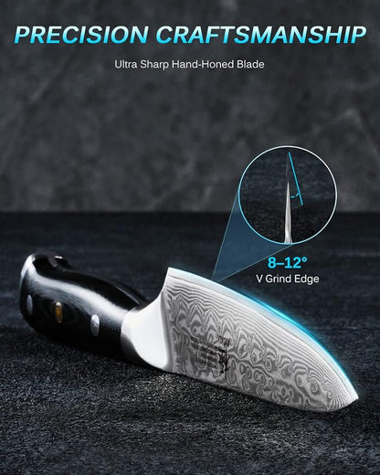 KYOKU Gin Series 5" Utility Kitchen Knife, Japanese Style VG10 Damascus Stainless Steel Knife with Silver Ion Blade G10 Handle Mosaic Pin, All Purpose Professional for Meat Veg and Fruit
