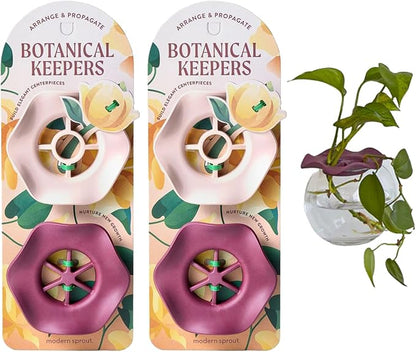 Modern Sprout Botanical Keeper for Floral Arranging & Plant Propagation - Eco-Friendly, BPA-Free, Sustainable Materials - Hydration Tray - Gift for Plant Lovers and Gardeners - 2 Pack