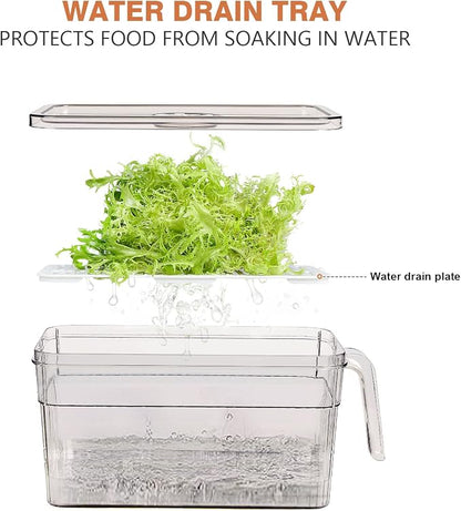 2 Pack Plastic Food Storage Produce Containers for Fridge, Stackable Lettuce Keeper for Refrigerator with Removable Drain Tray Keep Fresh for Vegetables/Fruit/Berry/Salad - 10'' x 5.3'' x 5.2''