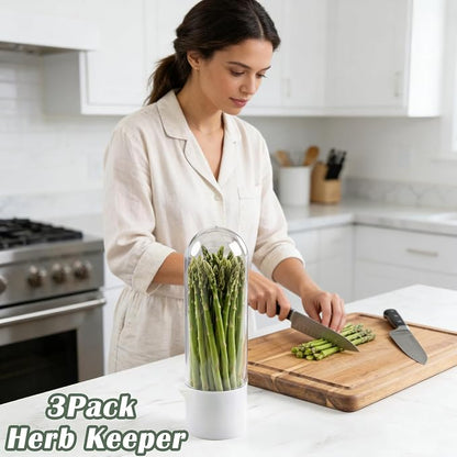 Herb Saver for Refrigerator, 3Pack Herb Keeper & Cilantro Container for Fridge, Fresh Herbs Lettuce Keeper Preservation Storage Container for Cilantro, Parsley, Asparagus, Extends 2-3 Weeks