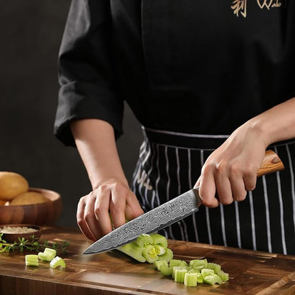 Wakoli EDIB Pro Damascus Carving Knife – Japanese Style Meat Slicer | 6.7-Inch Blade Made of 67-Layer Damascus Steel with VG10 Core | Ergonomic Pakkawood Handle | Professional Carving Tool