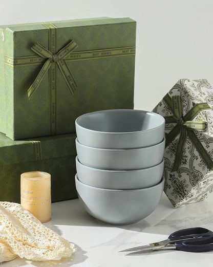 Cereal Bowls Set of 4, 24 oz Bowls for Kitchen, Ceramic Bowls for Salad, Fruit, Breakfast, Dessert, Stoneware Soup Bowls, Dishwasher & Microwave Safe, Pebble Gray