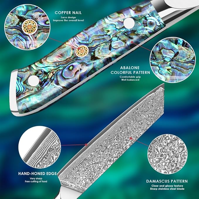Home Safety Damascus Kiritsuke Knife with Sharp 20cm Blade Made of 67 Layers of VG-10 Damascus Steel Kitchen Knifves Damascus Carving Knife, Abalone Shell Handle, Gift Box