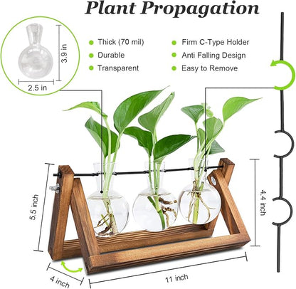 Renmxj Plant Propagation Stations with Wooden Stand & 3 Glass Bulb Vases - Plant Terrarium for Indoor Plants, Home Office Desk Decor, Gardening Gifts for Women Mom, Birthday Gifts for Plants Lovers