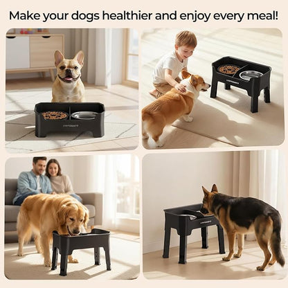 URPOWER Mess Proof Elevated Dog Bowls, High Wall Splash Guard Design, 4 Height Adjustable Raised Bowl Stand with Stainless Steel & Slow Feeder Bowl, Non-Slip Food Water Set for Small Medium Large Dogs