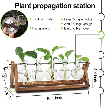 Renmxj Plant Propagation Stations with Wooden Stand & 5 Glass Bulb Vases | Plant Terrarium for Indoor Plants, Home Office Desk Decor, Gardening Gifts for Women Mom, Birthday Gifts for Plants Lovers