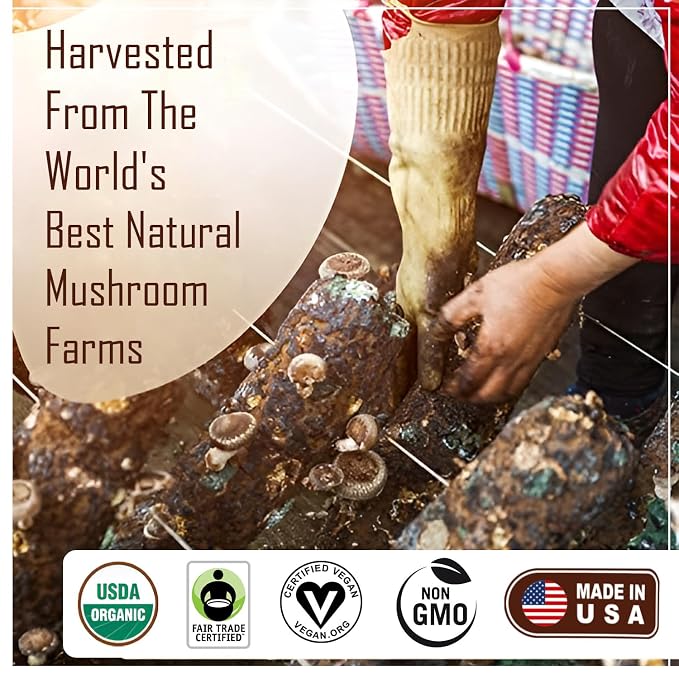 La Republica Organic Mushroom Coffee Ground 2-Pack (120 servings) made w/Shade Grown Arabica Coffee Beans, Lion's Mane, Reishi, Chaga, Cordyceps, Turkey Tail & More I USDA Non-GMO Fairtrade Low Acid