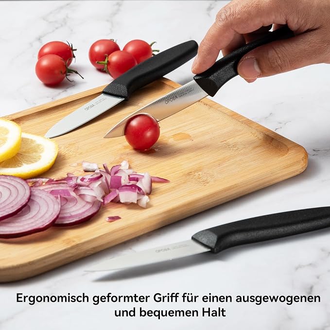 Paring Knife Fruit Knife Set (6 Pieces), Ultra Sharp Stainless Steel Vegetable and Fruit Knife with PP Plastic Ergonomic Handle for Cutting Fruits and Vegetables- Black