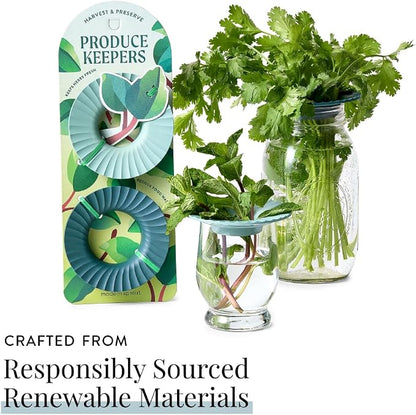 Modern Sprout Produce Keeper for Fresh Herbs & Greens - Eco-Friendly, BPA-Free, Sustainable Materials - Extends Freshness Up to 2 Weeks - Gift for Plant Lovers and Home Chefs - 2 Pack