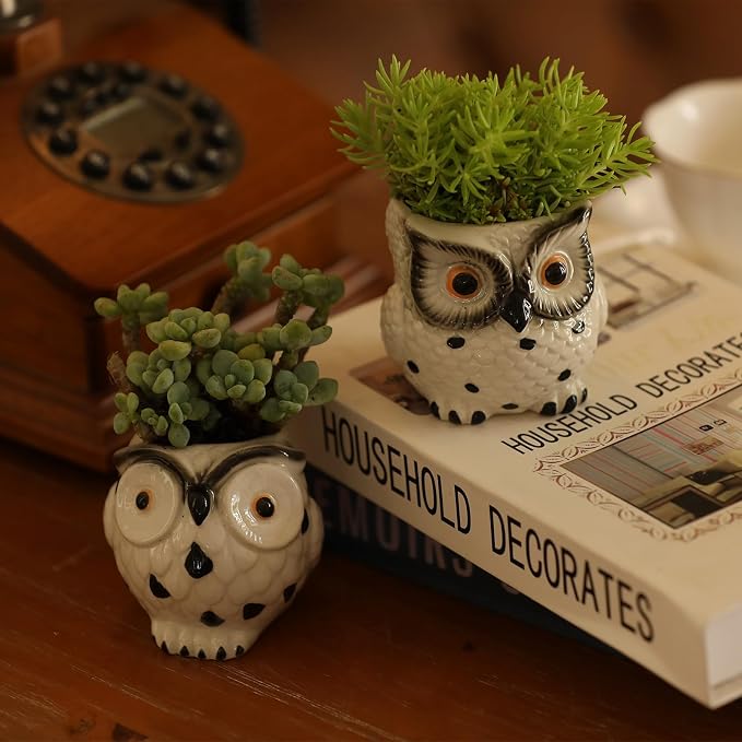 Owl Ceramic Planters Mini Plant Pots 3Inch With Drainage Pen Pencil Holder Cute Decor Flower Planters Gift Packaging Herb Cactus Plant Pots Air Plant Kitchen Window Gardening Starter Set Teacher Gifts