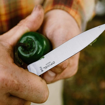 OPINEL No. 112 Paring Knives 2 Piece Set, Sandvik Steel Everyday Paring Knife, Wood Handles, Made in France (Sage Green)