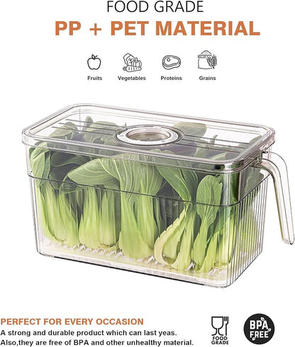 2 Pack Plastic Food Storage Produce Containers for Fridge, Stackable Lettuce Keeper for Refrigerator with Removable Drain Tray Keep Fresh for Vegetables/Fruit/Berry/Salad - 10'' x 5.3'' x 5.2''