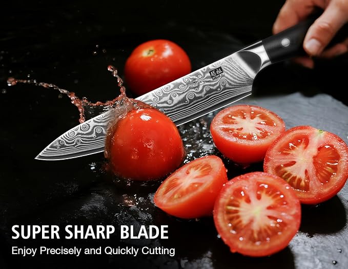 SHAN ZU Damascus Chef Knife, Utility Knife 6 Inch Japanese Steel Damascus Kitchen Knife, 67 Layers Professional High Carbon Super Steel Kitchen Knives with Ergonomic G10 Handle