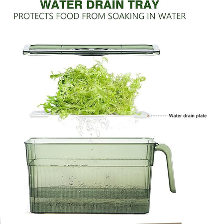 2 Pack Stackable Food Storage Produce Saver Containers for Refrigerator, Berry Keeper Boxes for Fridge with Removable Drain Tray Keep Fresh for Vegetables/Fruit (Clear&Green)
