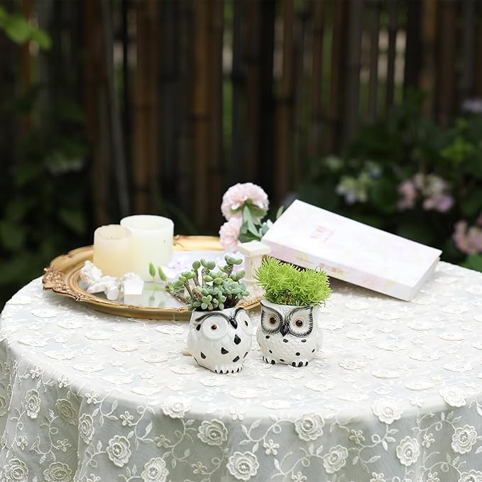 Owl Ceramic Planters Mini Plant Pots 3Inch With Drainage Pen Pencil Holder Cute Decor Flower Planters Gift Packaging Herb Cactus Plant Pots Air Plant Kitchen Window Gardening Starter Set Teacher Gifts