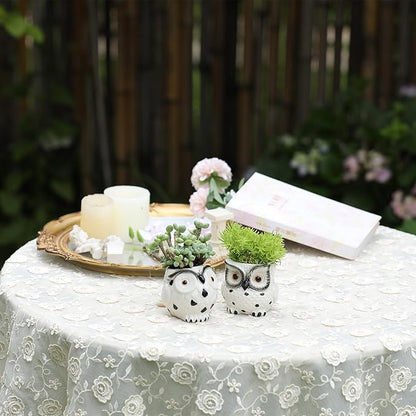 Owl Ceramic Planters Mini Plant Pots 3Inch With Drainage Pen Pencil Holder Cute Decor Flower Planters Gift Packaging Herb Cactus Plant Pots Air Plant Kitchen Window Gardening Starter Set Teacher Gifts