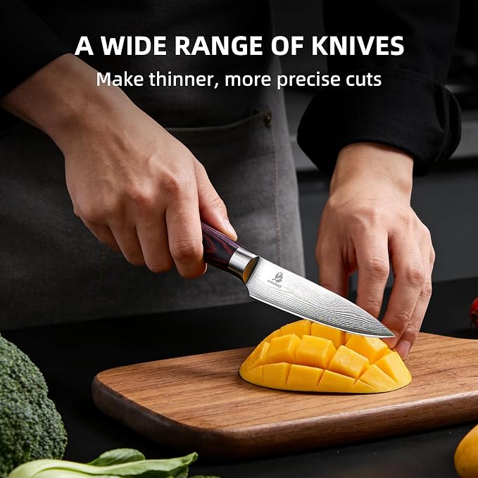 Kitchen Knife Set, Chef Knife, Utility Knife & Paring Knife for Precise Cutting, High Carbon Stainless Steel Professional Chef Knife Set with Wooden Handle, Ultra Sharp Blade (5-Piece)