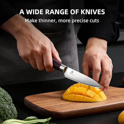 Kitchen Knife Set, Chef Knife, Utility Knife & Paring Knife for Precise Cutting, High Carbon Stainless Steel Professional Chef Knife Set with Wooden Handle, Ultra Sharp Blade (5-Piece)