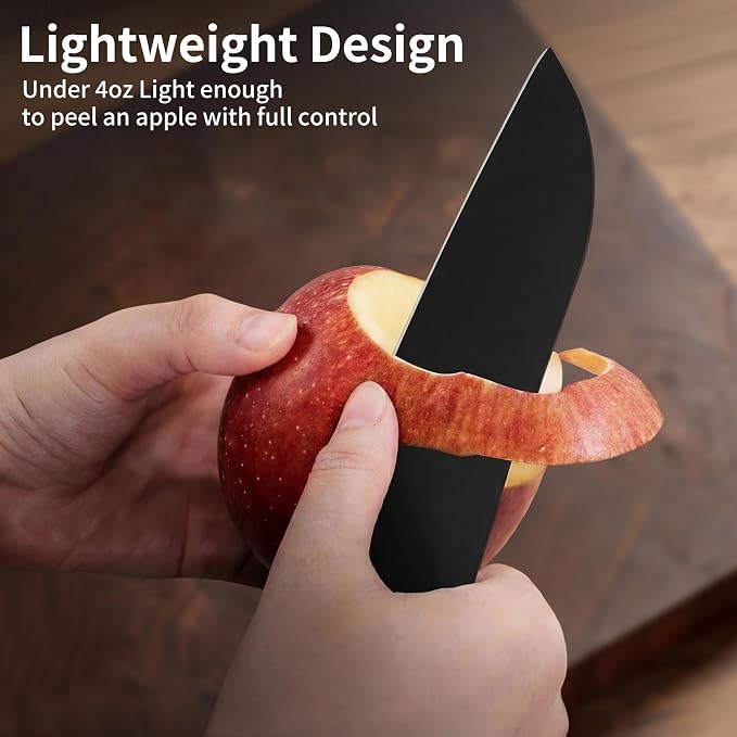 6.7 Inch Santoku Knife, Made in Japan, Matte Black High Carbon Molybdenum Stainless Steel Japanese Chef Knife with NonSlip Handle, Kitchen Knife for Modern Kitchen Gifts