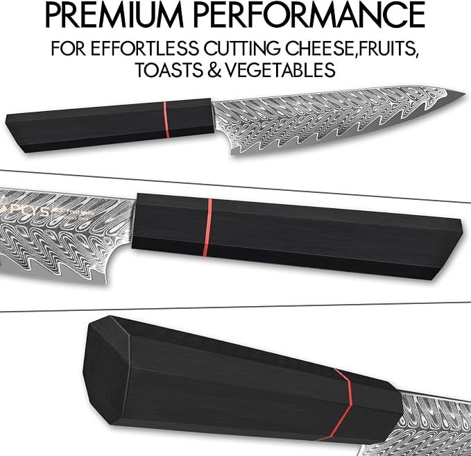 5.5-Inch Japanese Chef Knife - Razor Sharp Damascus Small Kitchen Knife, AUS-10 Steel for Paring Knife with G10 Handle