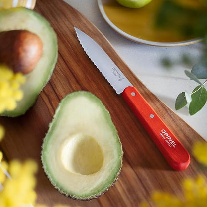 OPINEL Les Essentials - Small Kitchen 4 Piece Knife Set - Paring, Serrated, Peeler, Vegetable Knife, Corrosion Resistant High Carbon Steel, Made in France (Primo)