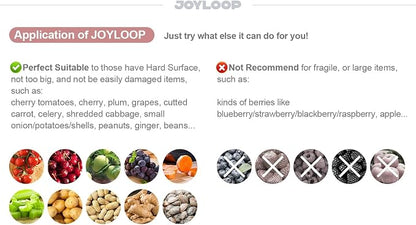 JOYMOOP Fruit Washer and Spinner with Brush, Large Cleaning Bowl for Fruits, Vegetables and Salad, Produce Scrubber
