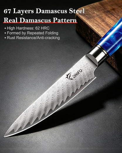 Kitchen Utility Knife 5 Inch, Japanese VG10 Steel Damascus Paring knife, Small Kitchen Chef Knife with Gift Box and Resin Wood Handle, Ideal Gift for Your Beloved Men or Women