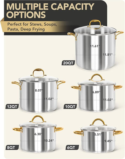 MICHELANGELO Stainless Steel Pots - 6 Qt Induction Pot with Lid, 18/10 Stainless Steel Stock Pot, Non Toxic Cooking Pot, Oven & Dishwasher Safe