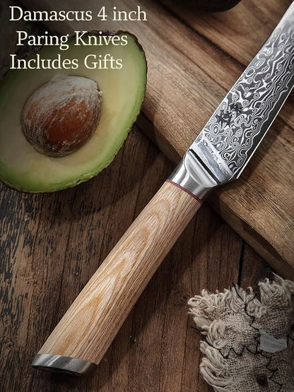 DONGSUN 4 Inch Damascus Paring Knife with North American Black Walnut Sheath, 67-Layer VG10 Forged Steel Japanese Fruit Knife, Professional Durable Sharpness