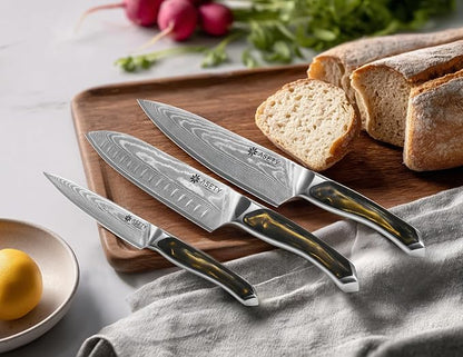 ASETY Damascus Knife Set 3 PCS: Ultra-Sharp Professional Chef Knife Set, Japanese Kitchen Knives with VG10 Steel Core, Full Tang Resin Handle, Elegant Box for Men Women, Fathers day