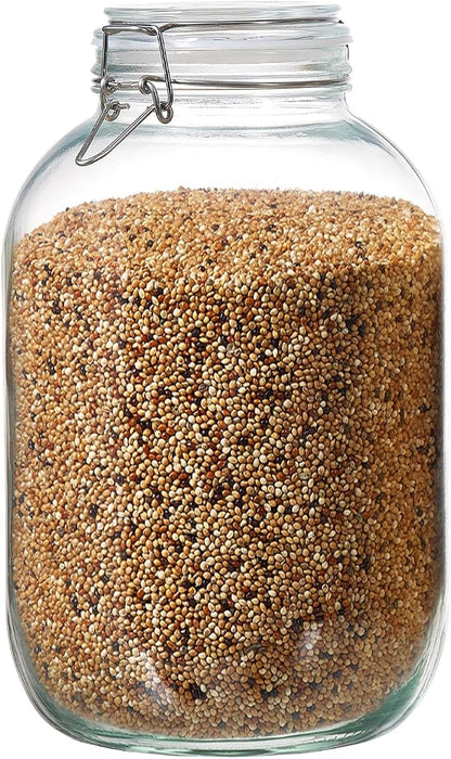 1 Gallon Glass Food Storage Jars with Airtight Lids, Set of 1 – Clear Preserving Seal Wire Clip Fastening Canisters for Kitchen Canning, Flour, Cereal, Pasta, Sugar, Beans, Pickling Jars (1gallon*1)