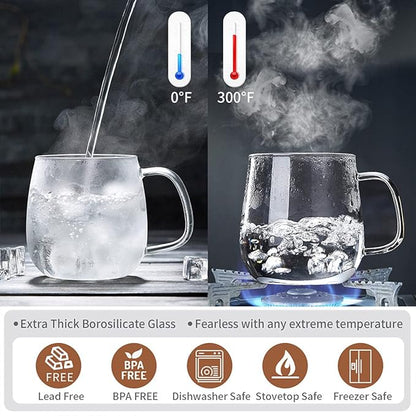 DOPUDO Glass Tea Cup with Infuser and Lid, 17.6oz/520ml Large Borosilicate Teacup,Tea Glass, Clear Mug for Loose Leaf Tea, Blooming Tea, Microwave & Dishwasher Safe - Tea Maker Gift for Birthday.