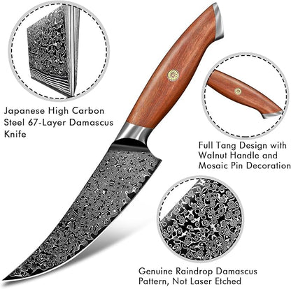 Freelander 6.1 inch Viking Knife – Traditional Viking Style Blade with 4.9 inch Walnut Handle, Full Tang Construction – Unique Outdoor Knife with Premium Craftsmanship