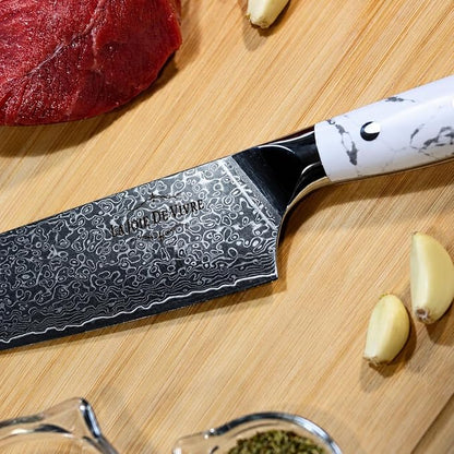 Damascus Chef Knife 8 Inch, 67-Layer VG-10 Japanese Steel Kitchen Knife, Razor Sharp Professional Chef Knife with White Turquoise Resin Handle & Premium Gift Box