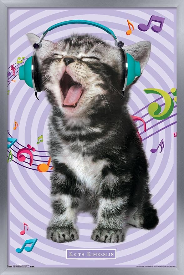 Trends International Keith Kimberlin - Kitten - Singing Wall Poster, 14.725" x 22.375", Silver Framed Version