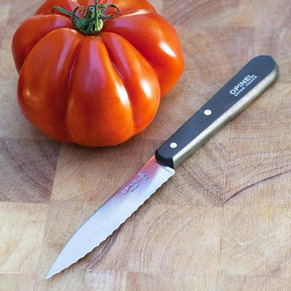 OPINEL Les Essentials - Small Kitchen 4 Piece Knife Set - Paring, Serrated, Peeler, Vegetable Knife, Corrosion Resistant High Carbon Steel, Made in France (Loft)