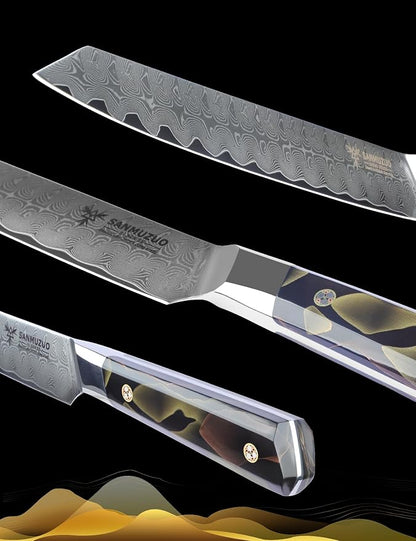 Meat Carving Knife 10 Inch, Professional Kitchen Slicing Knife, Ultra Sharp Damascus Powder Steel with Full-tang Resin Handle, Bi Series