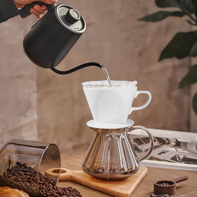 hailanbao Handmade Pour over Ceramic Coffee Dripper - Authentic Brewing Experience for Camping, Office, and Home (White)