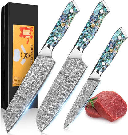 KEENZO 3PCS Kitchen Knife Set, Professional Kitchen Knives with 8"Chef, 8"Kiritsuke knife, 5"Utility Knife, Japanese Hand Forged 67 Layers Damascus Steel Cooking Knife, Ergonomic Abalone Shell Handle
