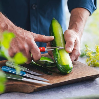 OPINEL Les Essentials - Small Kitchen 4 Piece Knife Set - Paring, Serrated, Peeler, Vegetable Knife, Corrosion Resistant High Carbon Steel, Made in France (Art Deco)
