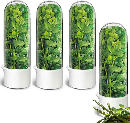 Cilantro Container for Fridge, Herb Keeper Herb Saver for Refrigerator | Vegetable Preservation Storage Container for Cilantro, Basil, Asparagus | Extends Freshness Up to 2-3 Weeks